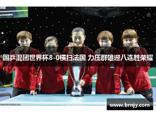 国乒混团世界杯8-0横扫法国 力压群雄迎八连胜荣耀